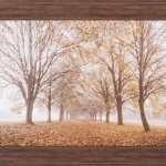 Autumn’s Reflection