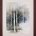 Birch Grove II