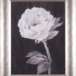 Black and White Flowers III