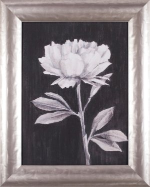 Black and White Flowers III