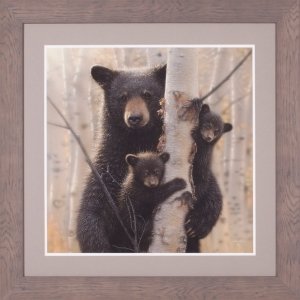 Black Bear Mother and Cubs – Mama Bear