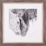 Black & White Horses VIII