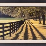 Behind Cloister Doors