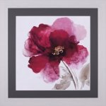 Crimson Peony I