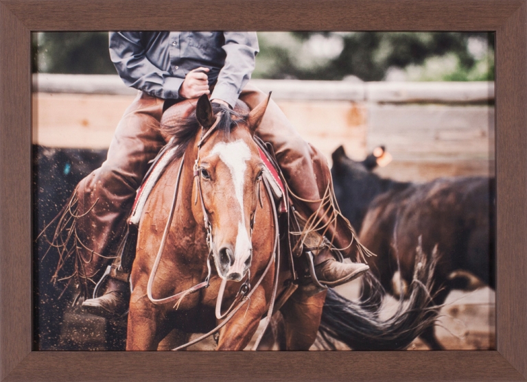 Cutting Horse Art Effects Inc