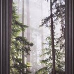 Forest Of The Flowers