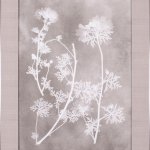 Herbarium Study I