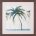 Palms II