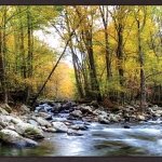 Pensive Neutrals III