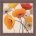Pumpkin Poppies III