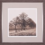 Falling Embers I Petite