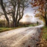 Shine On Morning Sun