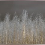 Silver Tree Silhouette I