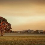 Tranquil Landscape II