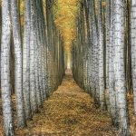 Traveling To The Edge