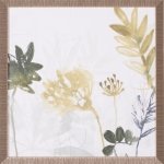 Tropical Stems II