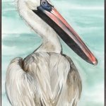 Turquoise Pelican II