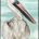 Turquoise Pelican I
