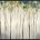 Viridian Treeline I