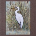 White Egret II