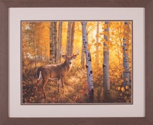 Whitetail in Aspens