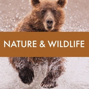 Nature & Wildlife