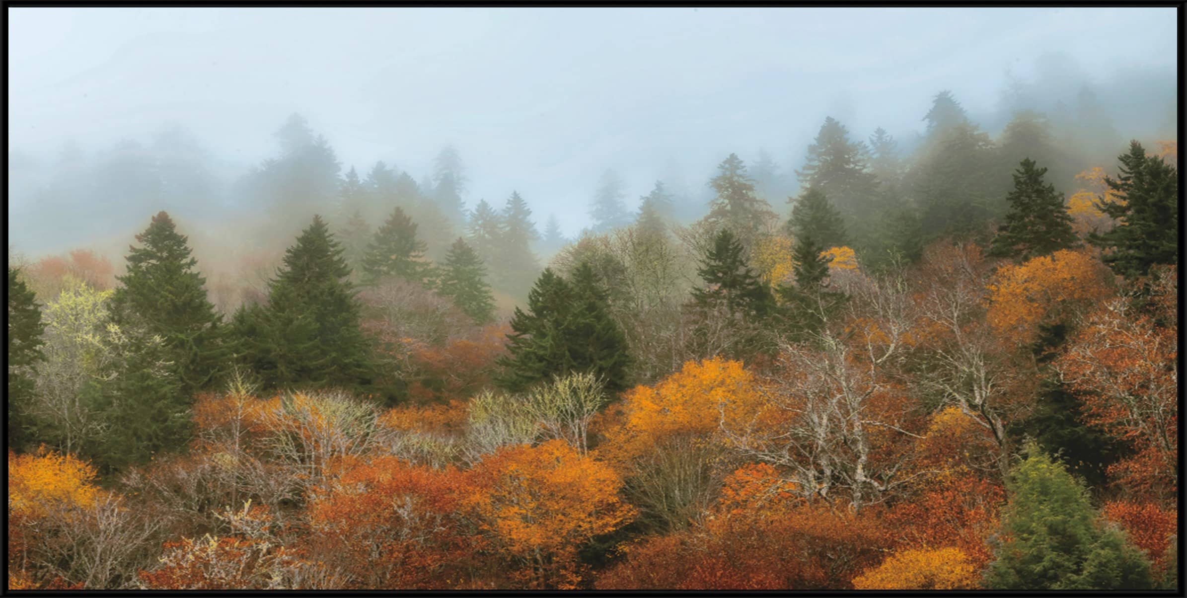 Autumn Mountain