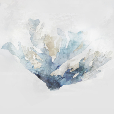 Blue Coral Reef I