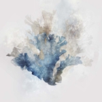 Blue Forest Adventure I