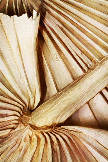 Natural Dried Palms I