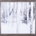 View From The Causeway