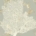 Sea Coral I
