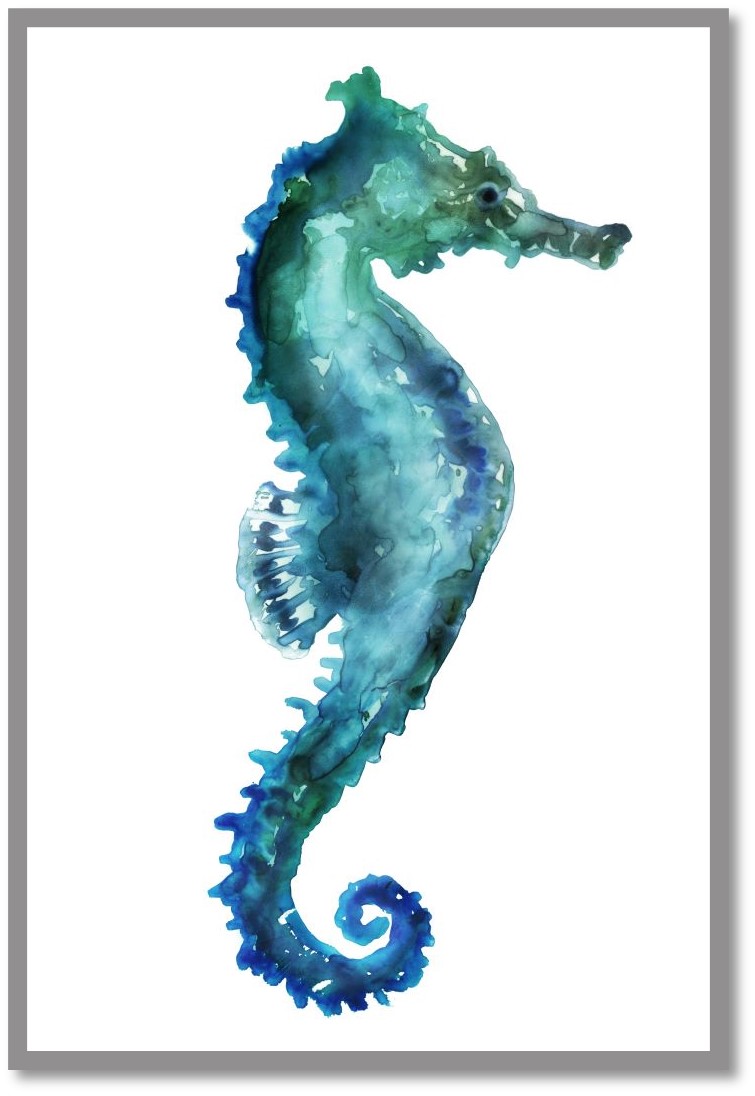 Sea Horse