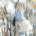 Silversong Birch II