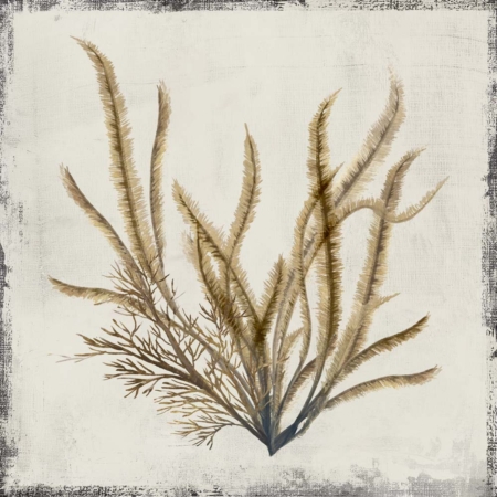 Yellow Coral I