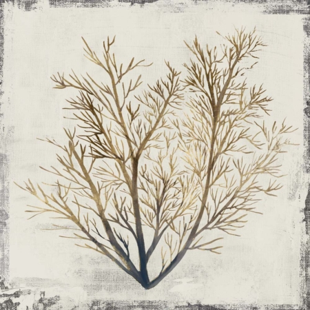 Yellow Coral II