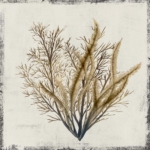 Abstract Blue Circles I