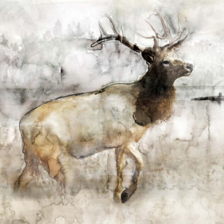 Mountain Elk I