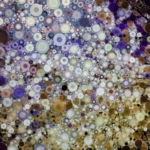 Sea Coral I