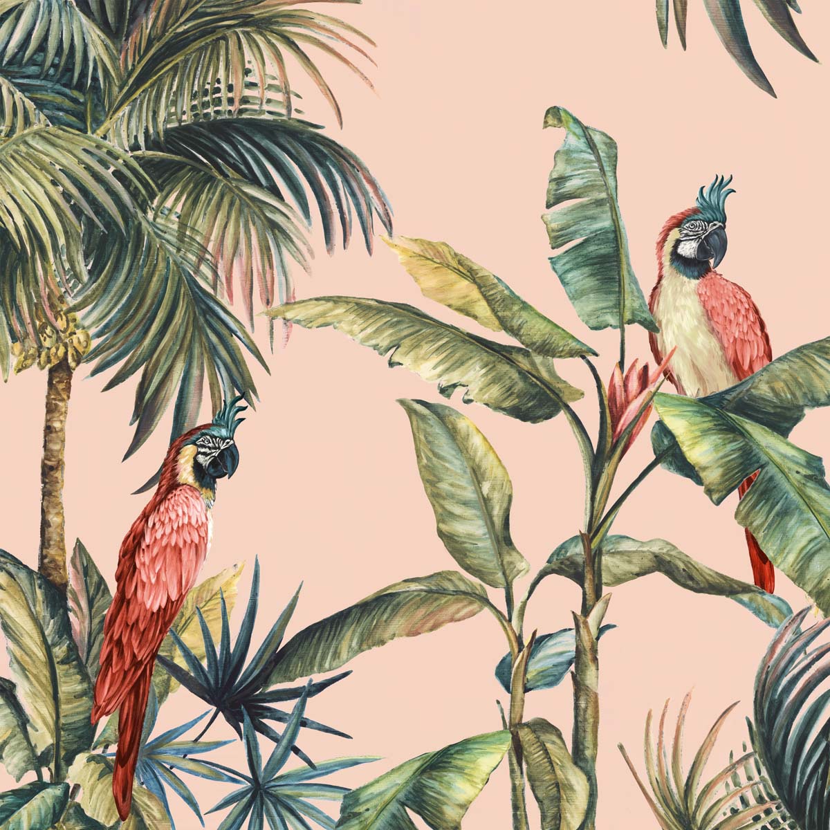 Tropicano II